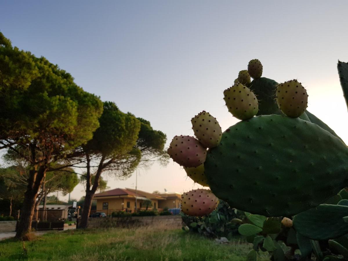 Turtle Island Apartments Santa Croce Camerina Exterior photo